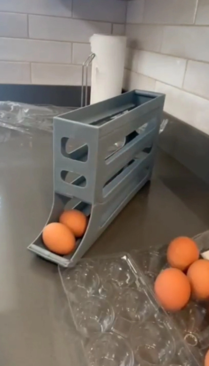 ORGANIZADOR DE HUEVOS