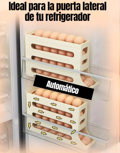ORGANIZADOR DE HUEVOS